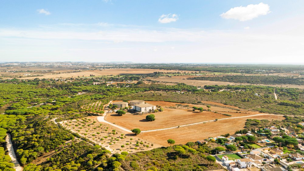 aerial-view-rural-landscape-crops-field